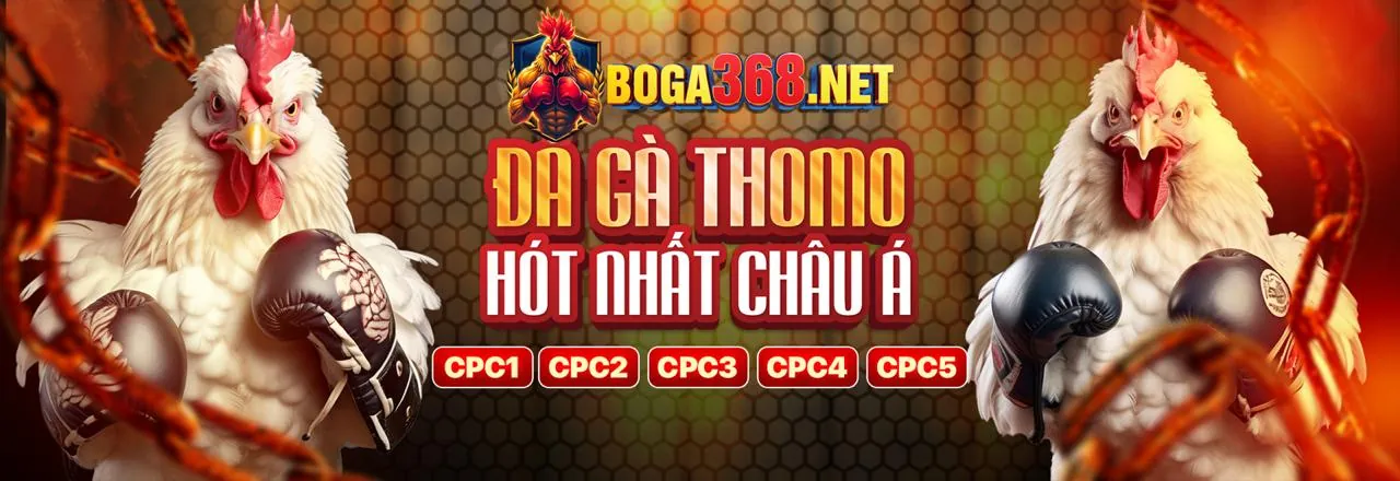 Tổng quan các chương trình khuyến mãi data88 nhà cái